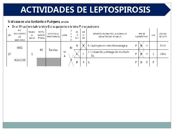 ACTIVIDADES DE LEPTOSPIROSIS 