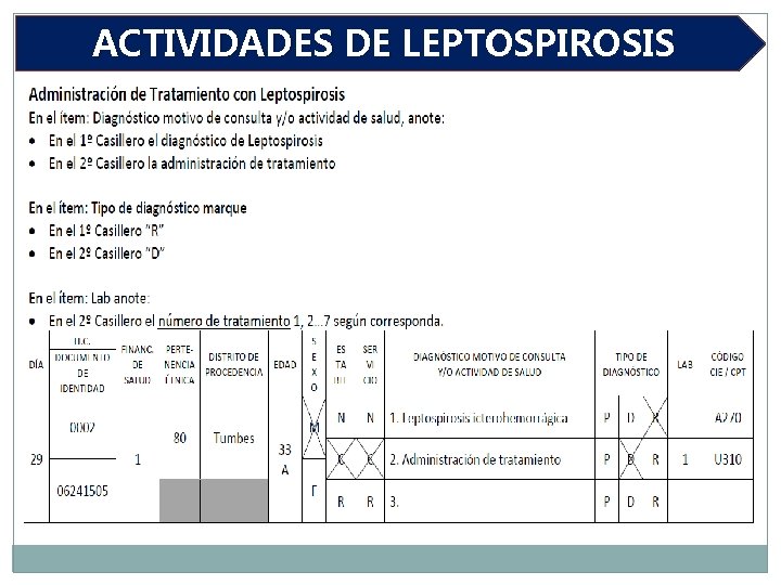 ACTIVIDADES DE LEPTOSPIROSIS 