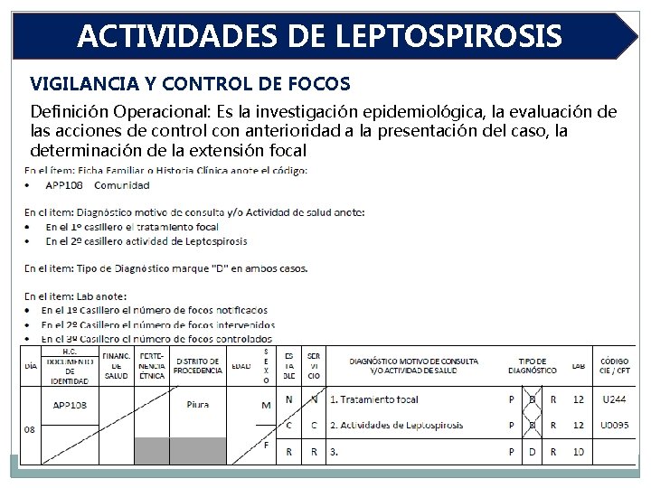 ACTIVIDADES DE LEPTOSPIROSIS VIGILANCIA Y CONTROL DE FOCOS Definición Operacional: Es la investigación epidemiológica,