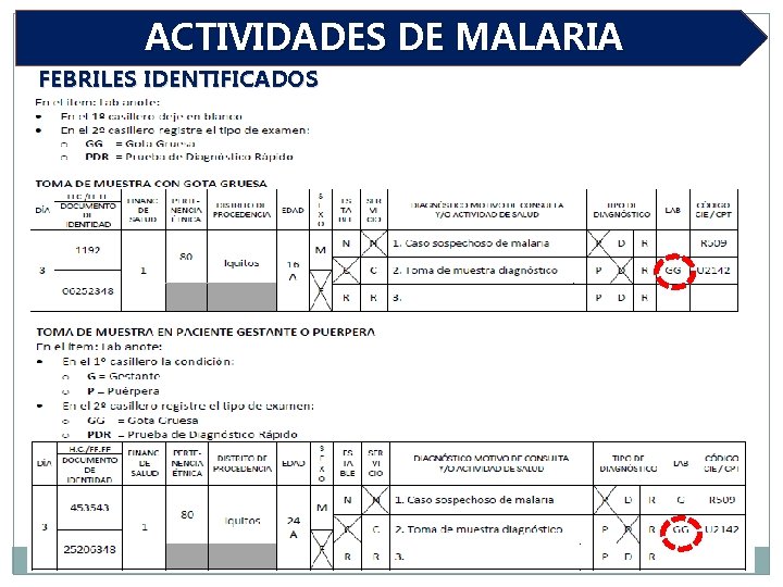 ACTIVIDADES DE MALARIA FEBRILES IDENTIFICADOS 