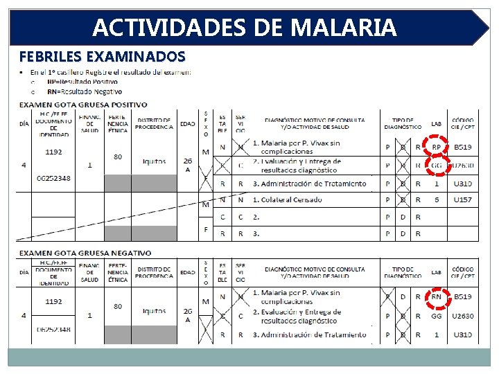 ACTIVIDADES DE MALARIA FEBRILES EXAMINADOS 