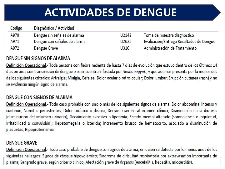 ACTIVIDADES DE DENGUE 