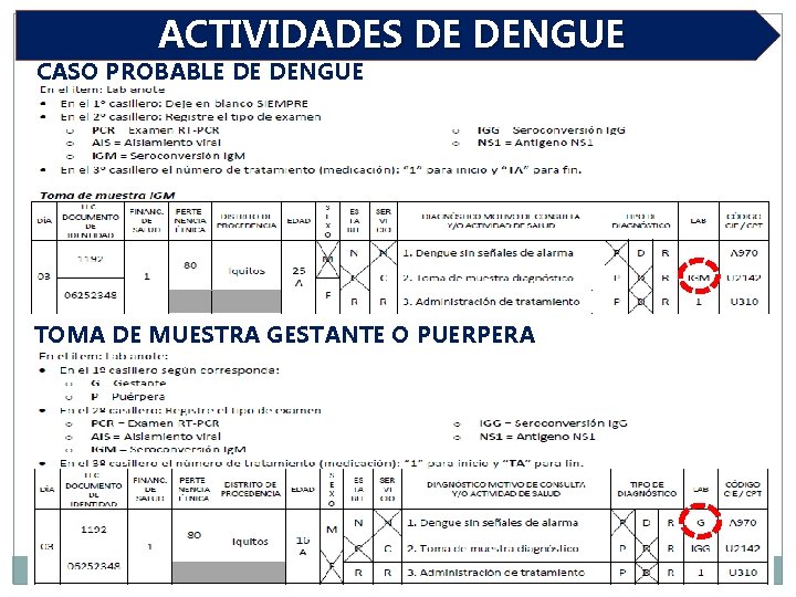 ACTIVIDADES DE DENGUE CASO PROBABLE DE DENGUE TOMA DE MUESTRA GESTANTE O PUERPERA 