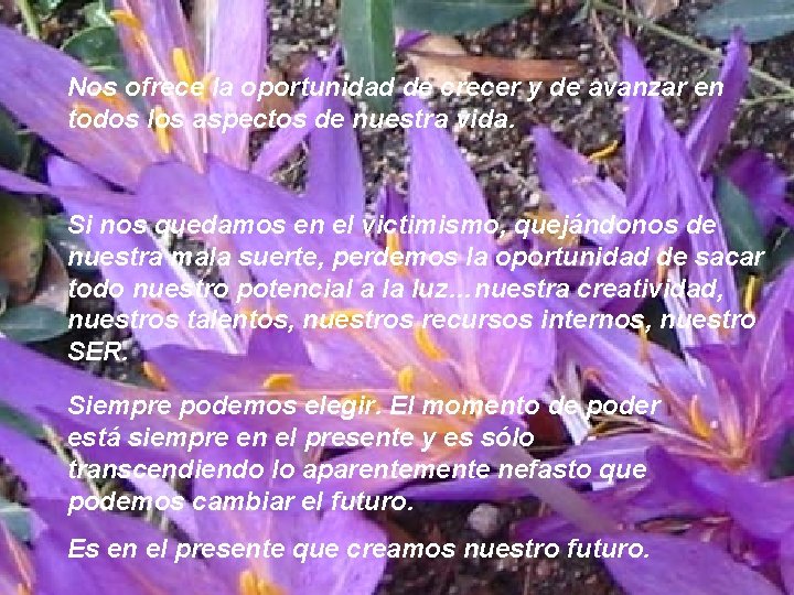 Nos ofrece la oportunidad de crecer y de avanzar en todos los aspectos de