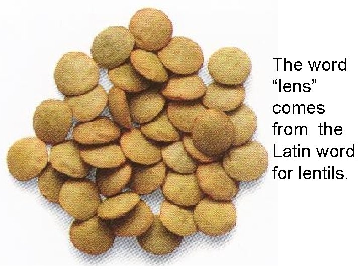 The word “lens” comes from the Latin word for lentils. 