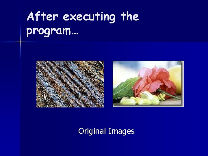 After executing the program… Original Images 