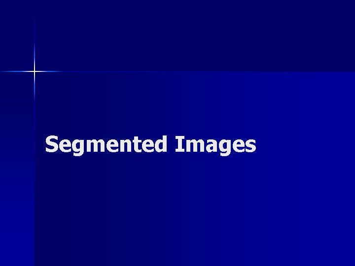 Segmented Images 