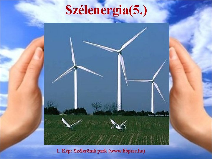 Szélenergia(5. ) 1. Kép: Szélerőmű park (www. bbpiac. hu) 