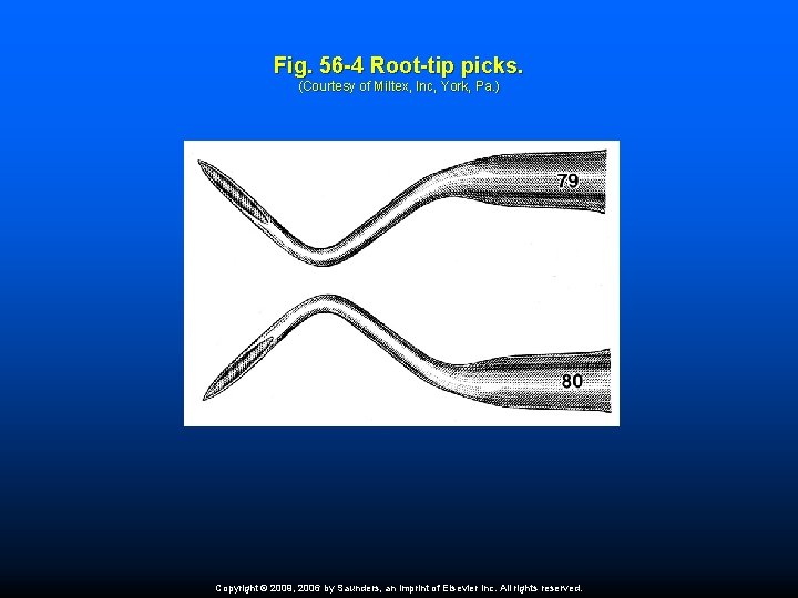 Fig. 56 -4 Root-tip picks. (Courtesy of Miltex, Inc, York, Pa. ) Copyright ©