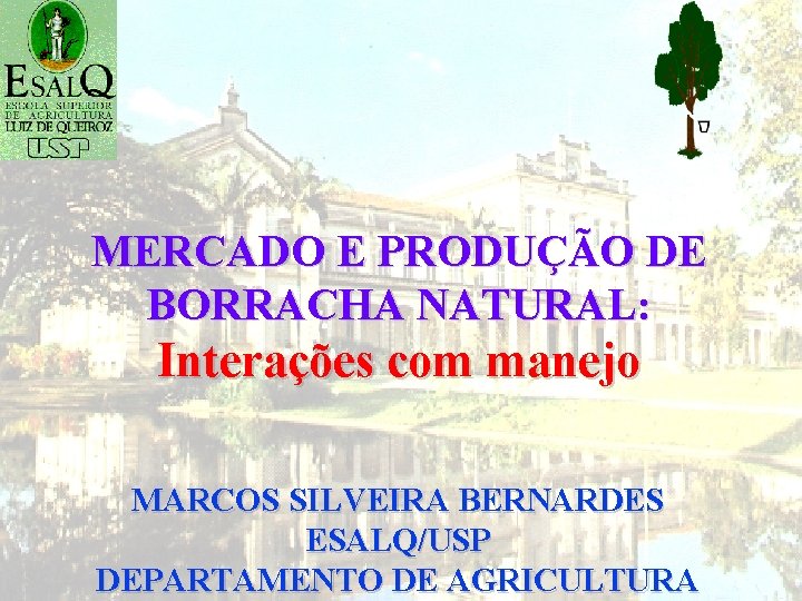 MERCADO E PRODUÇÃO DE BORRACHA NATURAL: Interações com manejo MARCOS SILVEIRA BERNARDES ESALQ/USP DEPARTAMENTO