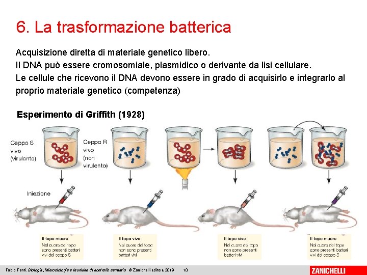 Fabio Fanti Biologia microbiologia e tecniche di controllo