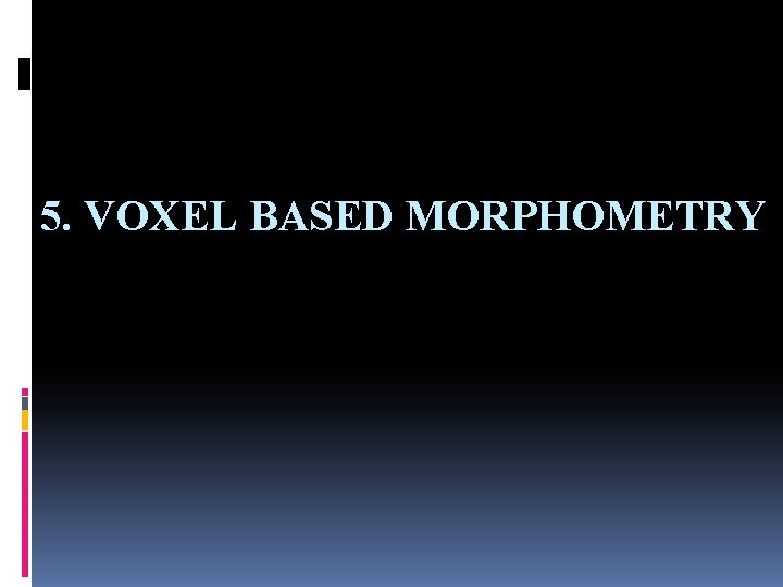 5. VOXEL BASED MORPHOMETRY 