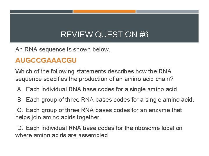 REVIEW QUESTION #6 An RNA sequence is shown below. AUGCCGAAACGU Which of the following