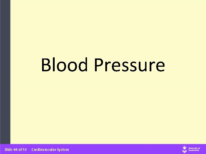 Blood Pressure Slide 44 of 53 Cardiovascular System 