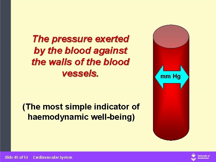 The pressure exerted by the blood against the walls of the blood vessels. (The