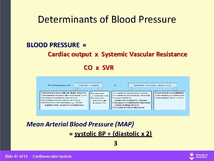 Determinants of Blood Pressure BLOOD PRESSURE = Cardiac output x Systemic Vascular Resistance CO Determinants of Blood Pressure BLOOD PRESSURE = Cardiac output x Systemic Vascular Resistance CO