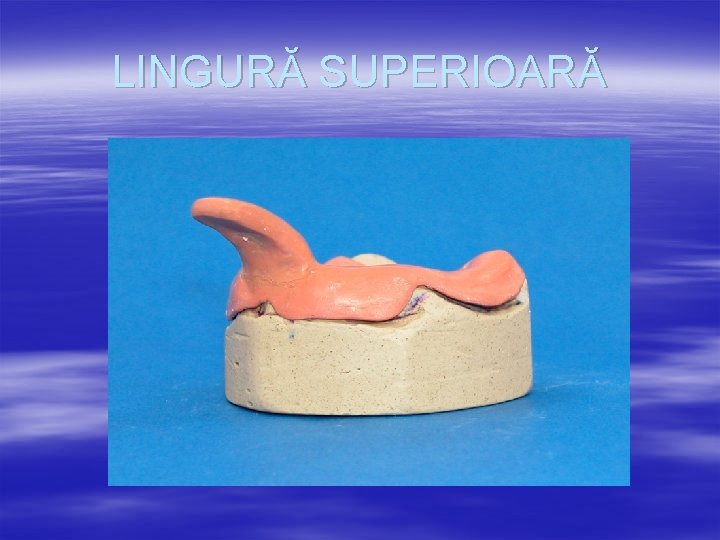 LINGURĂ SUPERIOARĂ 