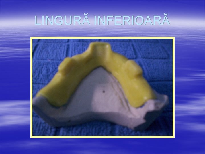 LINGURĂ INFERIOARĂ 
