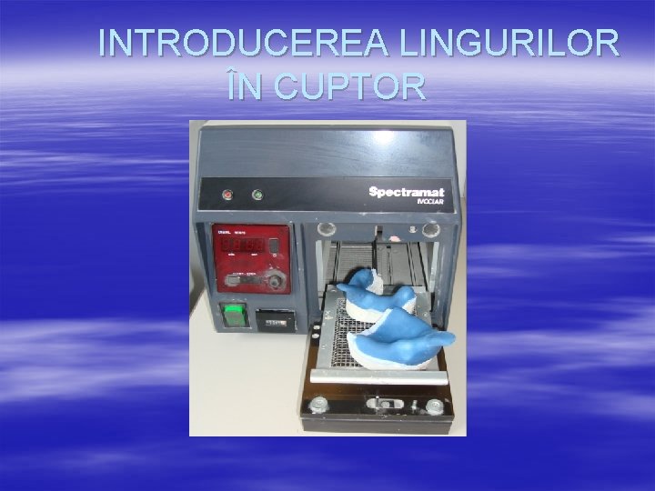 INTRODUCEREA LINGURILOR ÎN CUPTOR 