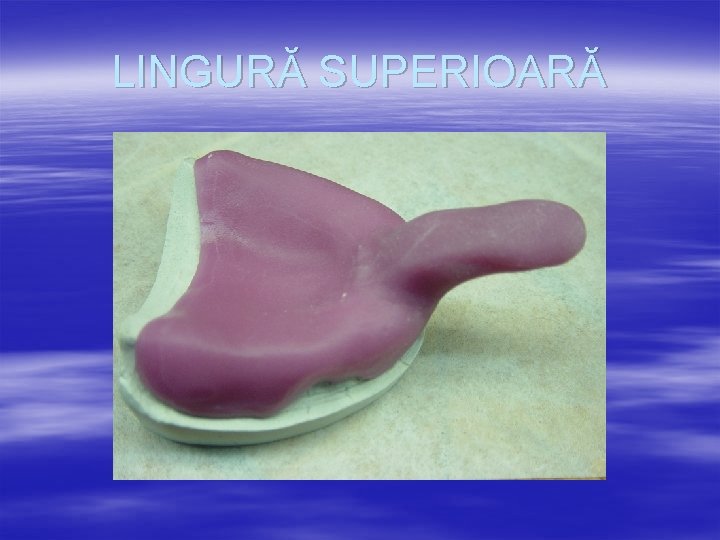 LINGURĂ SUPERIOARĂ 