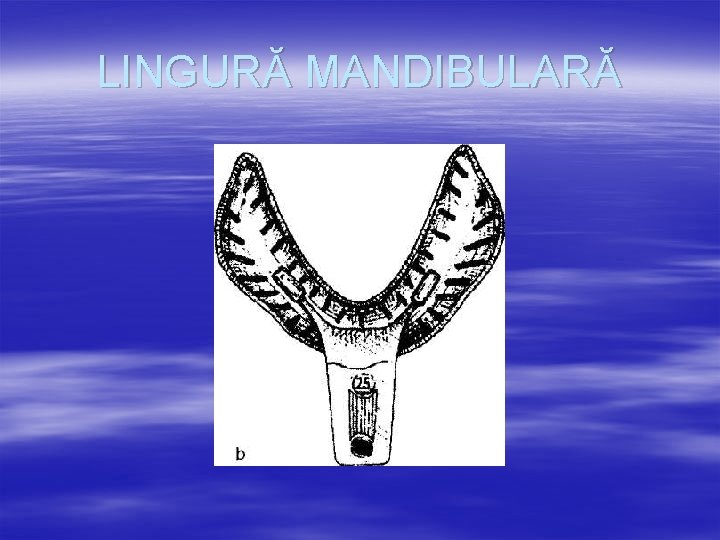 LINGURĂ MANDIBULARĂ 