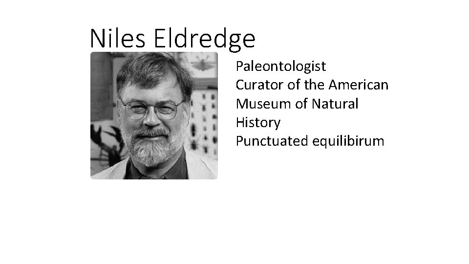 Niles Eldredge Paleontologist Curator of the American Museum of Natural History Punctuated equilibirum 