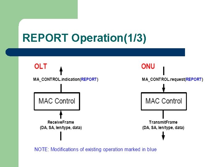 REPORT Operation(1/3) 