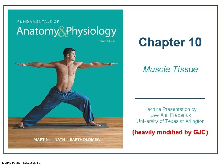 Chapter 10 Muscle Tissue Lecture Presentation by Lee Ann Frederick University of Texas at