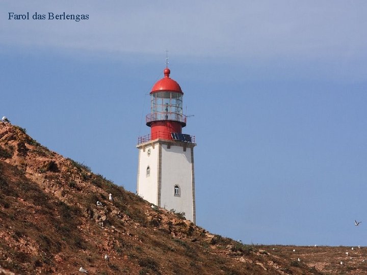 Farol das Berlengas 