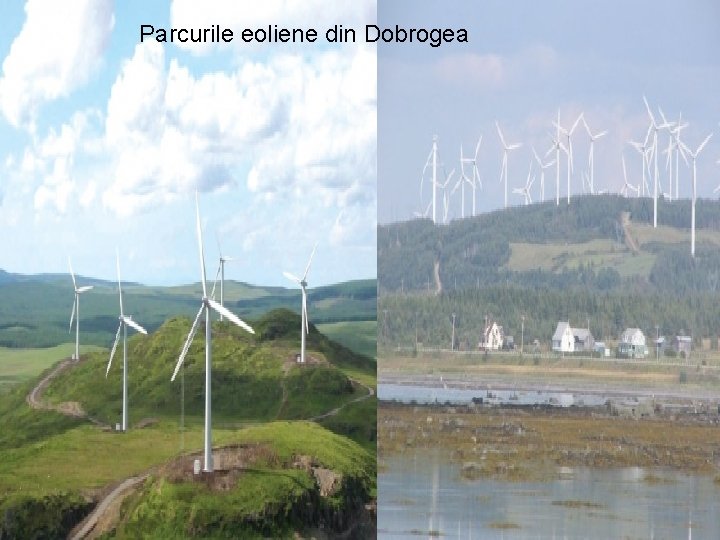 Parcurile eoliene din Dobrogea Parcurile eoliene din dobrogea(Cernavoda) Parcurile eoliene din Dobrogea Parcurile eoliene din dobrogea(Cernavoda)