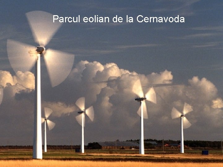 Parcul eolian de la Cernavoda Parcul eolian de la Cernavoda
