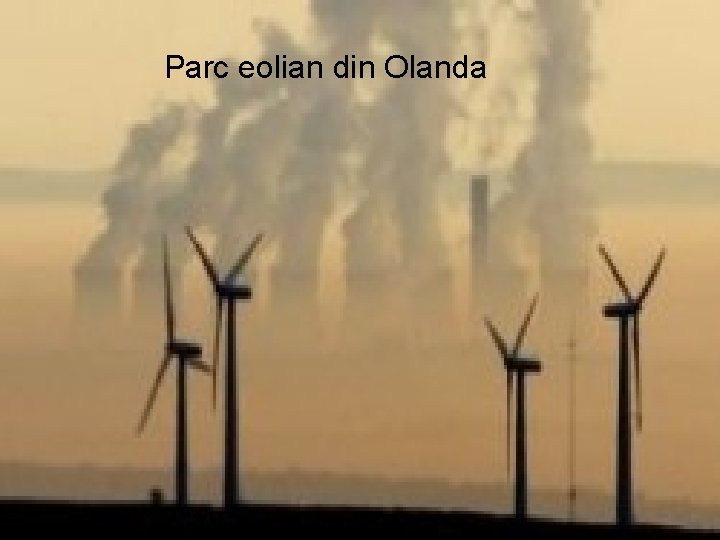 Parc eolian din Olanda Parc eolian din Olanda