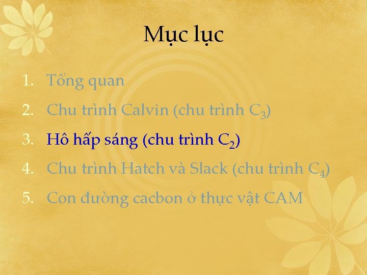 Mục lục 1. Tổng quan 2. Chu trình Calvin (chu trình C 3) 3.