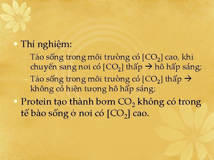  • Thí nghiệm: – Tảo sống trong môi trường có [CO 2] cao,