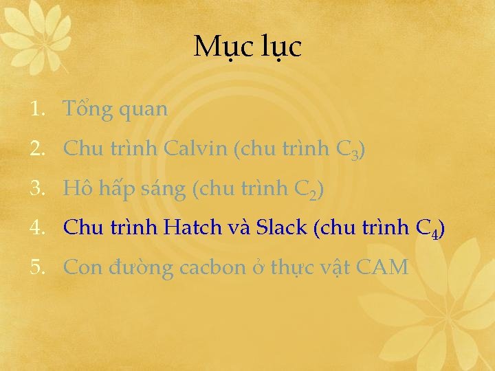 Mục lục 1. Tổng quan 2. Chu trình Calvin (chu trình C 3) 3.
