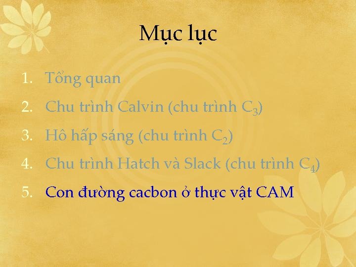 Mục lục 1. Tổng quan 2. Chu trình Calvin (chu trình C 3) 3.