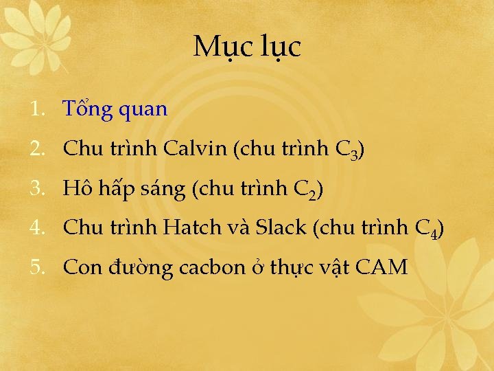 Mục lục 1. Tổng quan 2. Chu trình Calvin (chu trình C 3) 3.