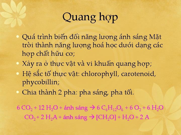 Quang hợp • Quá trình biến đổi năng lượng ánh sáng Mặt trời thành