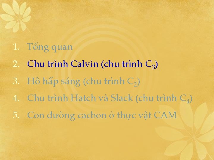 1. Tổng quan 2. Chu trình Calvin (chu trình C 3) 3. Hô hấp