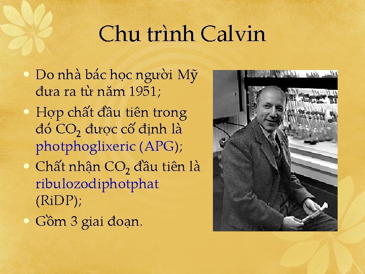 Chu trình Calvin • Do nhà bác học người Mỹ đưa ra từ năm