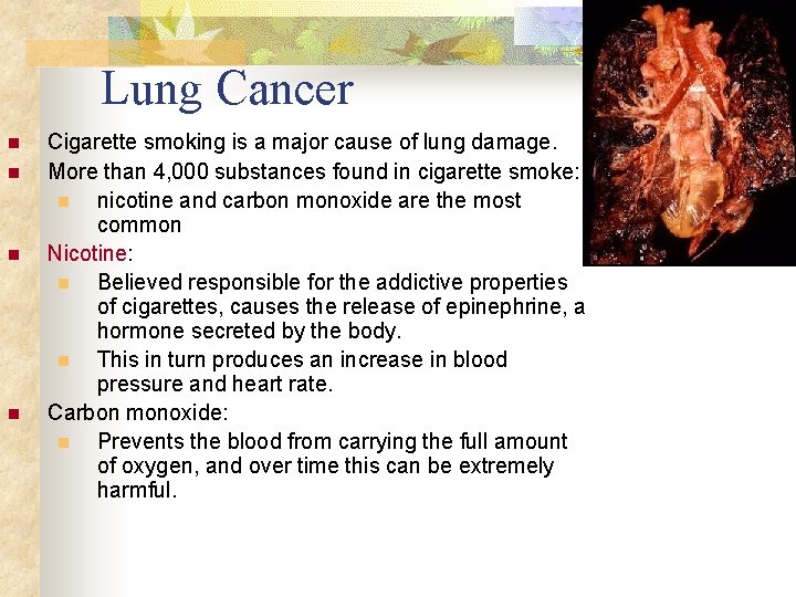 Lung Cancer n n Cigarette smoking is a major cause of lung damage. More