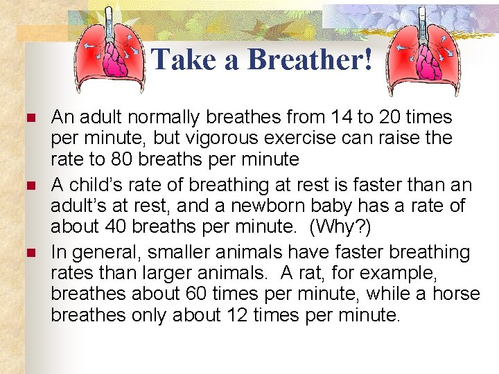 Take a Breather! n n n An adult normally breathes from 14 to 20