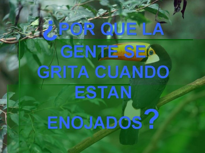 ¿POR QUE LA GENTE SE GRITA CUANDO ESTAN ? ENOJADOS 