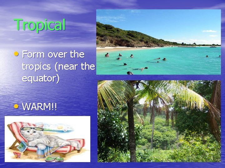 Tropical • Form over the tropics (near the equator) • WARM!! Weather Fronts 7