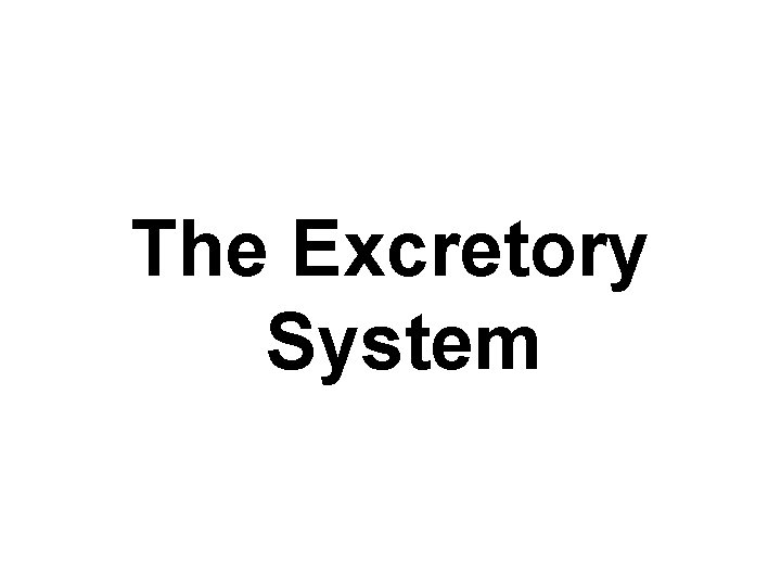 The Excretory System 