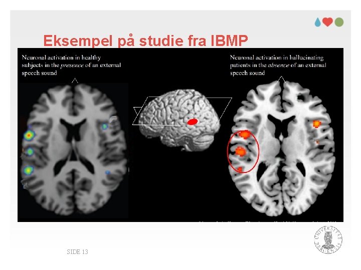 Eksempel på studie fra IBMP SIDE 13 