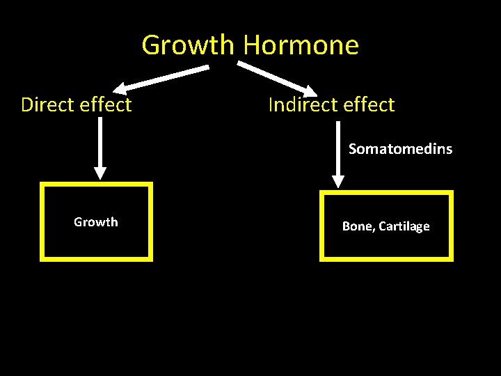 Growth Hormone Direct effect Indirect effect Somatomedins Growth Bone, Cartilage 