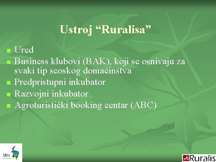 Ustroj “Ruralisa” n n n Ured Business klubovi (BAK), koji se osnivaju za svaki