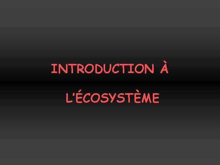 INTRODUCTION À L’ÉCOSYSTÈME 