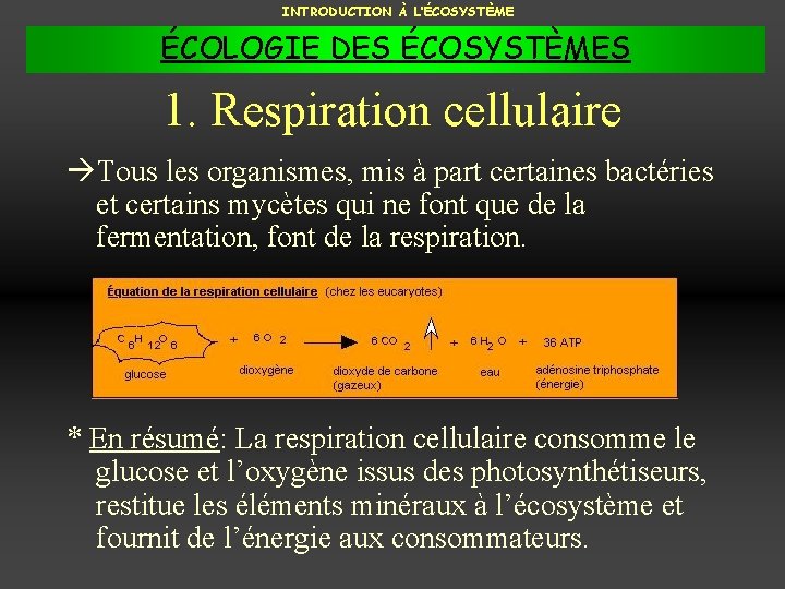 INTRODUCTION À L’ÉCOSYSTÈME ÉCOLOGIE DES ÉCOSYSTÈMES 1. Respiration cellulaire Tous les organismes, mis à